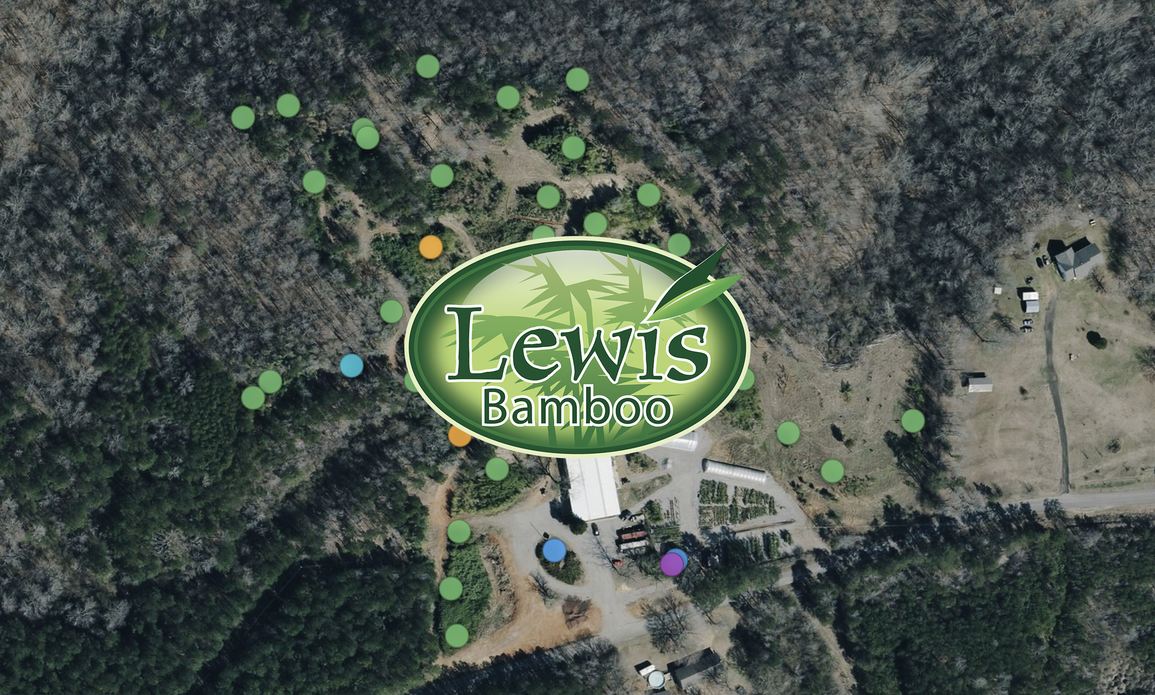 Lewis Bamboo Nursery Map